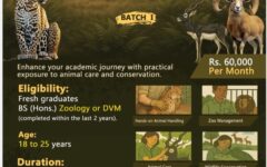punjabcm-wildlife-internship-program-2025