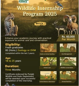punjabcm-wildlife-internship-program-2025