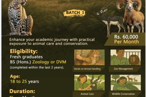 punjabcm-wildlife-internship-program-2025